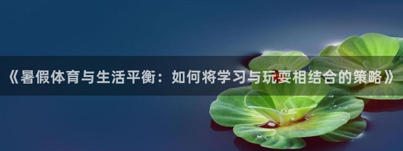 速球体育app最新版：《暑假体育与生活平衡：如何将学习与玩耍相结合的策略》