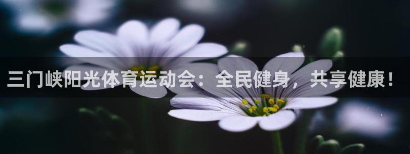 速球体育官网下载：三门峡阳光体育运动会：全民健身，共享健康！