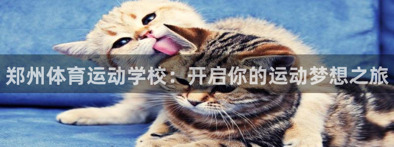 速球体育网址：郑州体育运动学校：开启你的运动梦想之旅