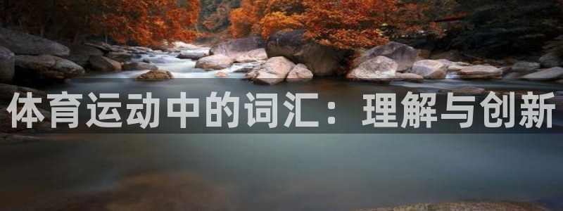 速球体育App下载：体育运动中的词汇：理解与创新