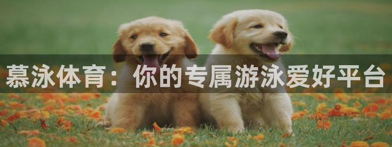 速球体育官网下载：慕泳体育：你的专属游泳爱好平台
