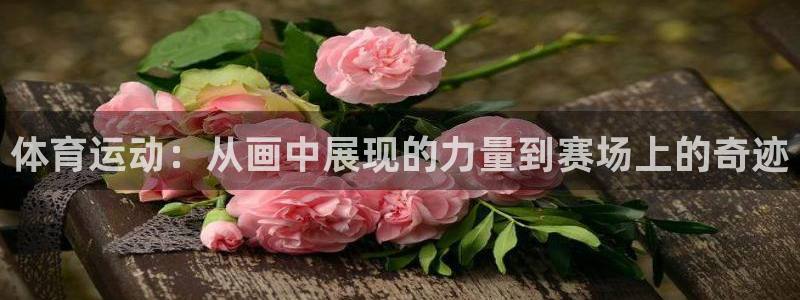 速球体育可以玩吗：体育运动：从画中展现的力量到赛场上的奇迹