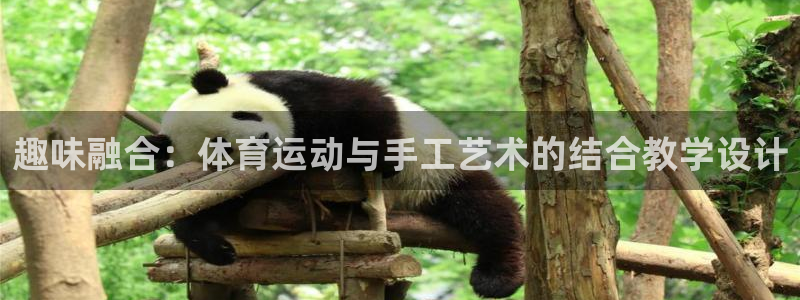 速球体育官网下载：趣味融合：体育运动与手工艺术的结合教学设计
