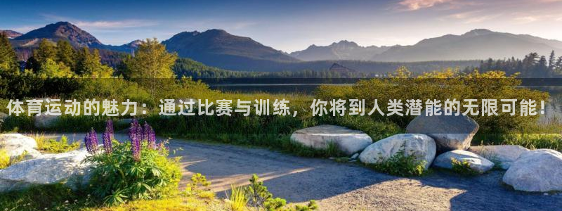 速球体育app：体育运动的魅力：通过比赛与训练，你将到人类潜能的无限可能！