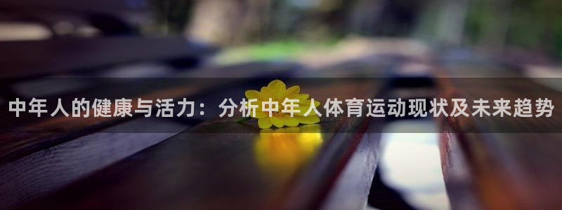 速球体育正规不：中年人的健康与活力：分析中年人体育运动现状及未来趋势