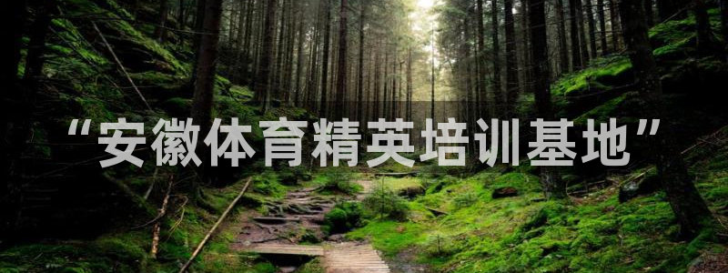 速球体育app官网入口：“安徽体育精英培训基地”