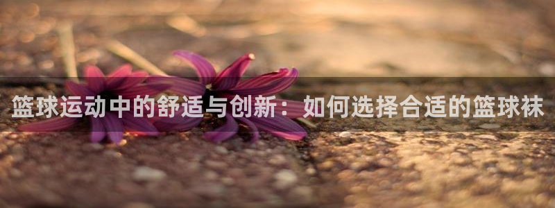 速球体育可以玩吗：篮球运动中的舒适与创新：如何选择合适的篮球袜