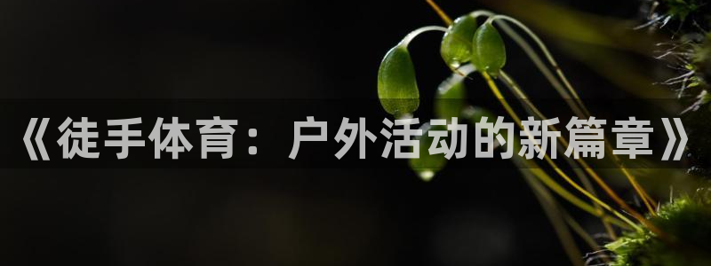 速球体育app官网入口：《徒手体育：户外活动的新篇章》