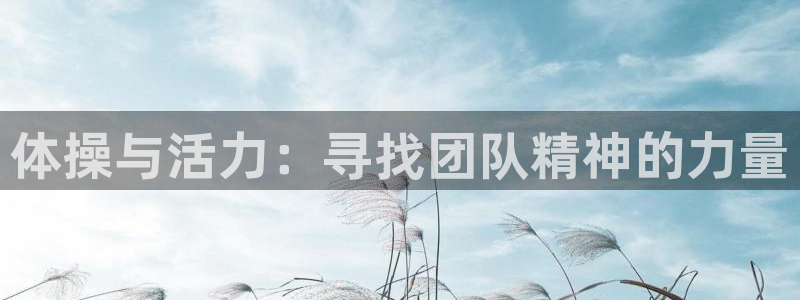 速球体育官网下载：体操与活力：寻找团队精神的力量